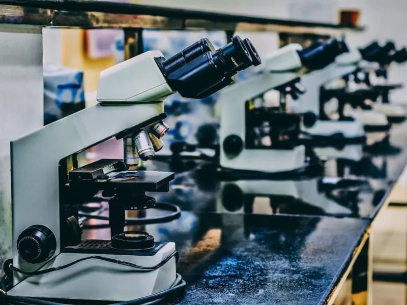 Bringing scientific translation into your life